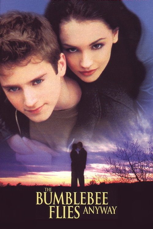 Полёт шмеля постер