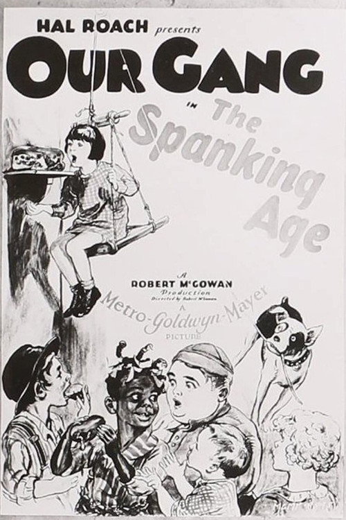 The Spanking Age постер