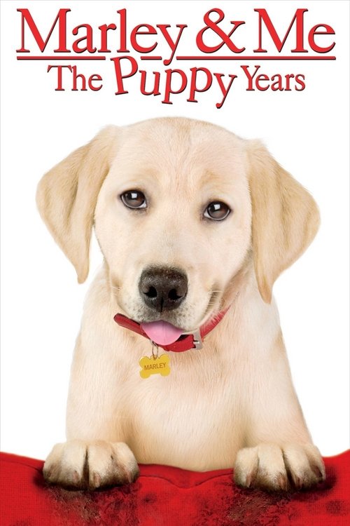 Marley & Me: The Puppy Years постер