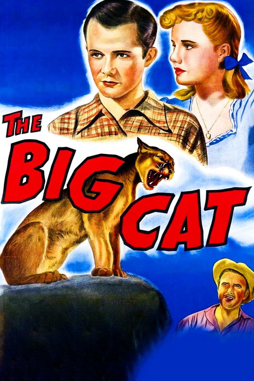 The Big Cat постер