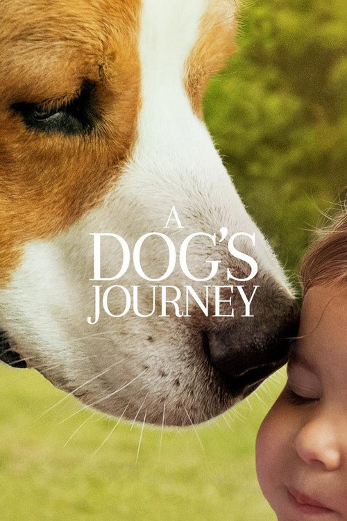 A Dog's Journey постер