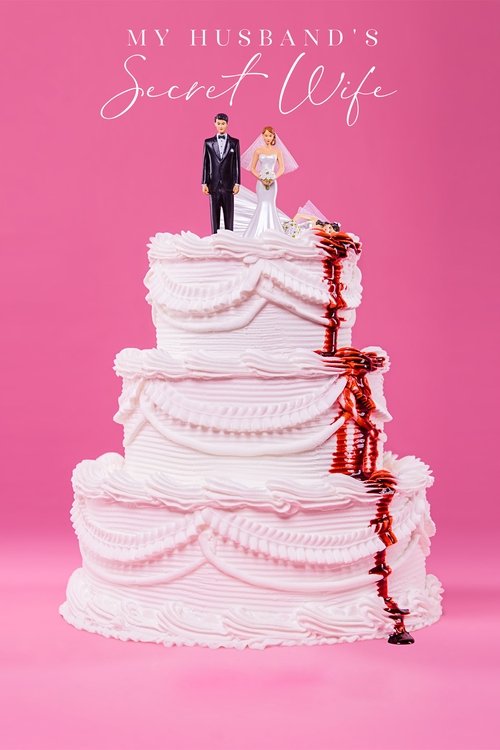 My Husband's Secret Wife постер