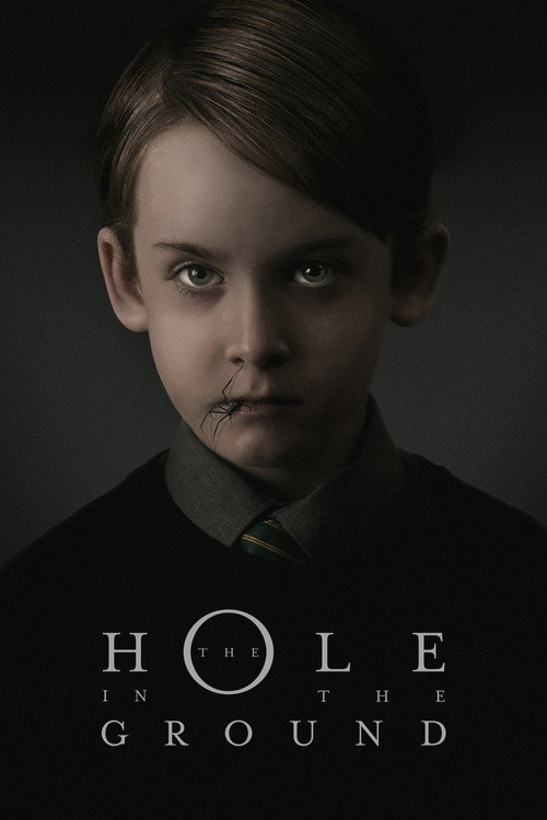 The Hole in the Ground постер