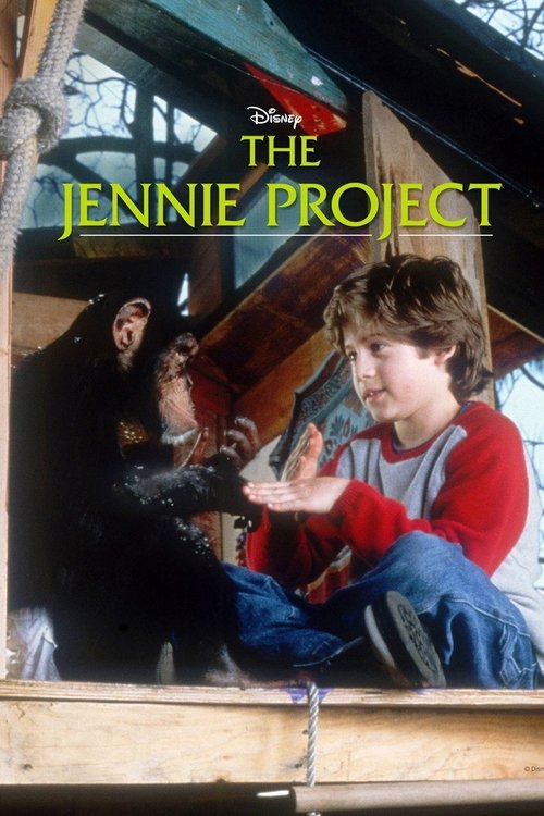 The Jennie Project постер
