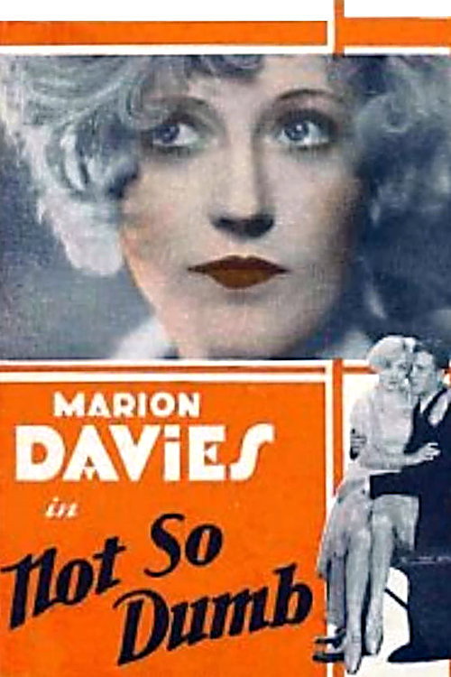 Not So Dumb постер