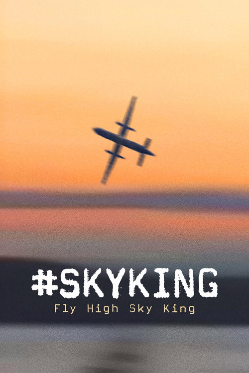 #SKYKING постер