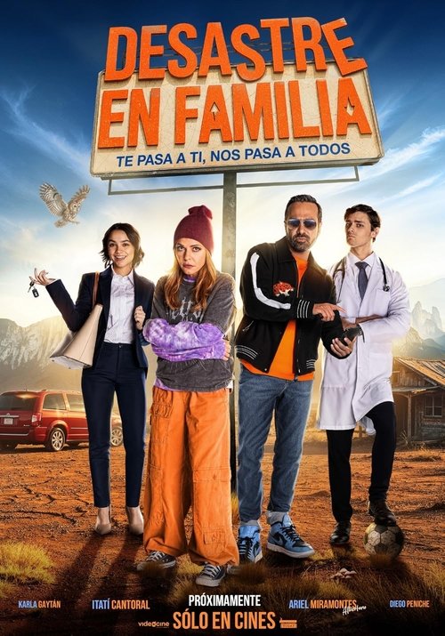 Desastre en familia постер