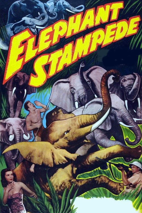 Elephant Stampede постер