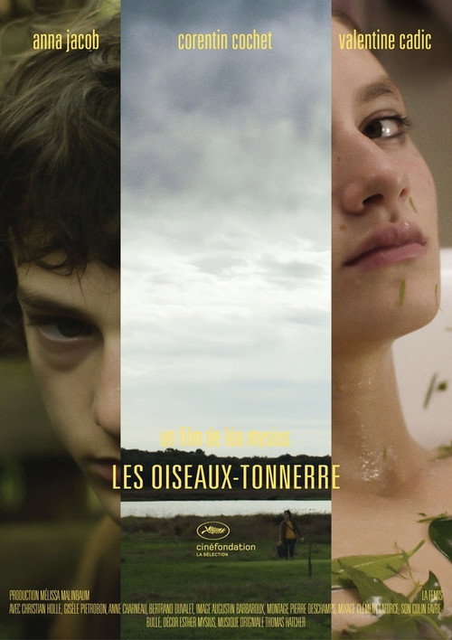 Les Oiseaux-tonnerre постер