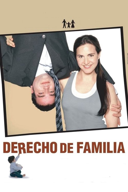 Derecho de familia постер
