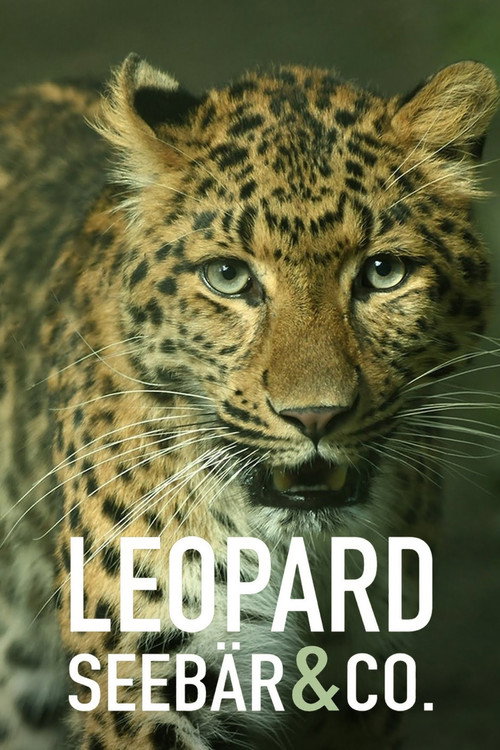 Leopard, Seebär & Co. постер