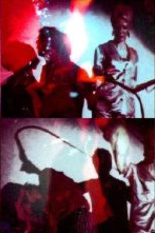 Exploding Plastic Inevitable постер