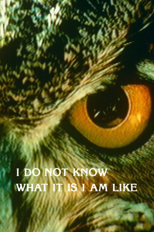 I Do Not Know What It Is I Am Like постер