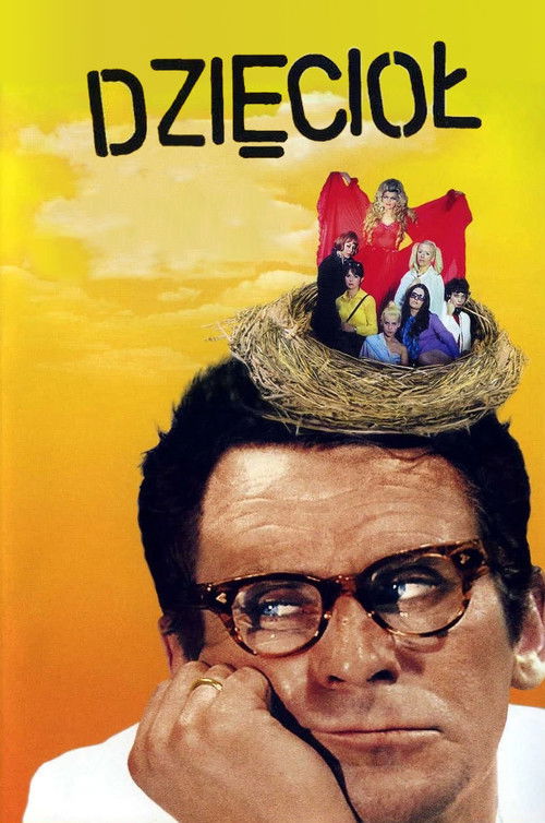 Dzięcioł постер