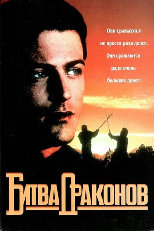 Битва драконов постер