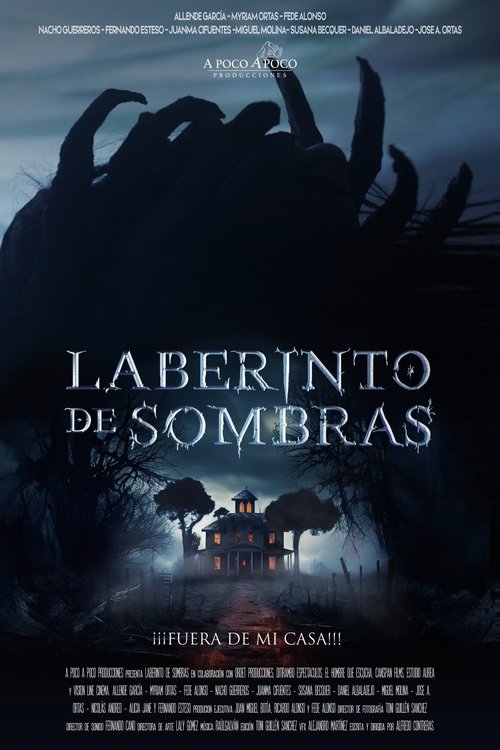 Laberinto de sombras постер