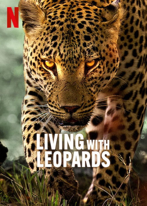 Living with Leopards постер