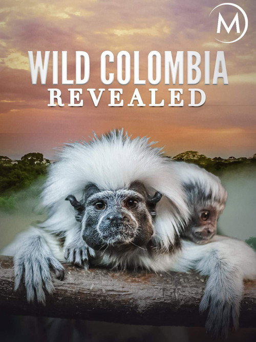 Colombia: Wild Magic постер