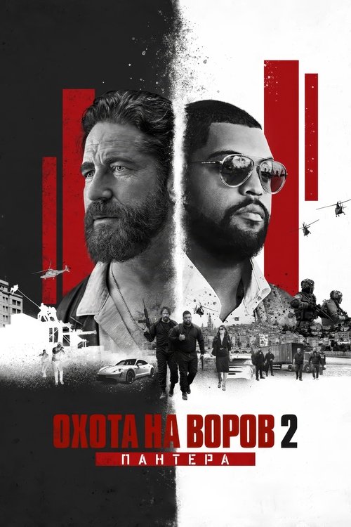 Охота на воров 2: Пантера постер