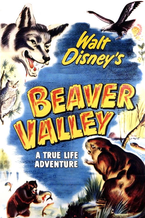 Beaver Valley постер