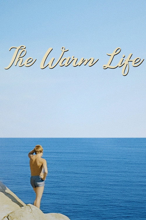 La calda vita постер