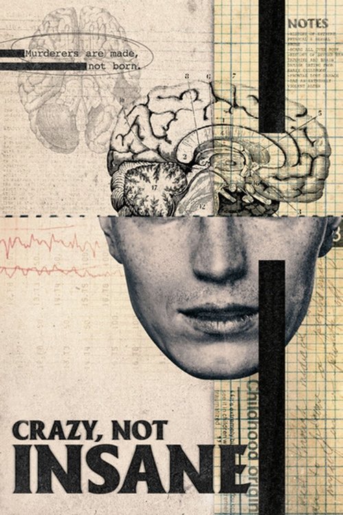 Crazy, Not Insane постер