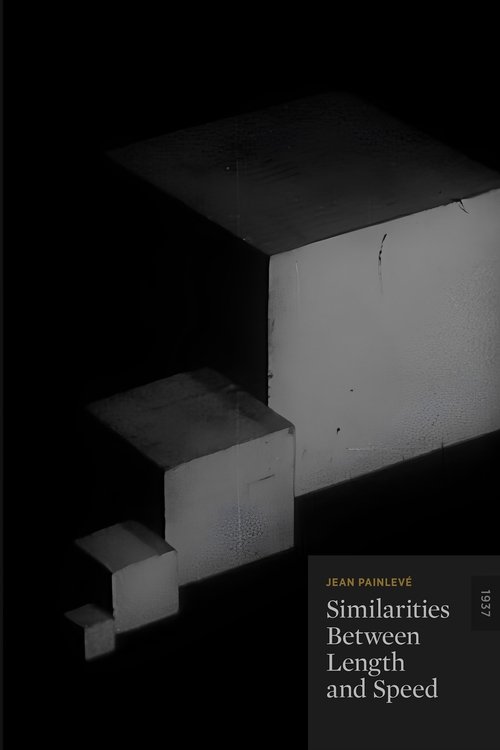 Similitudes des longueurs et des vitesses постер