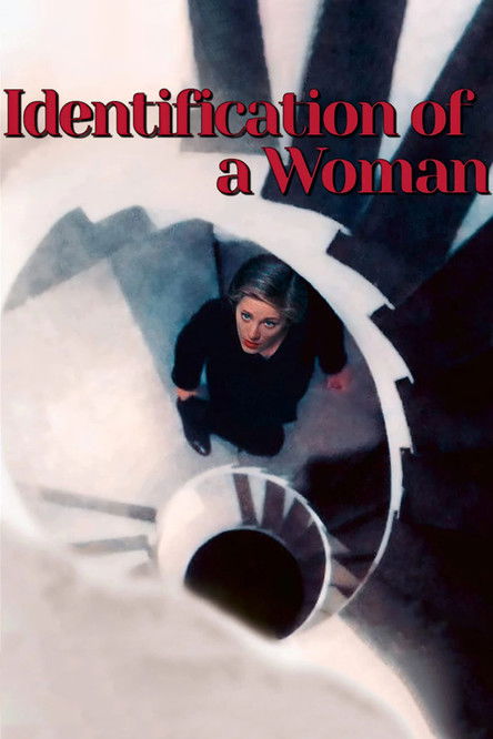 Идентификация женщины постер