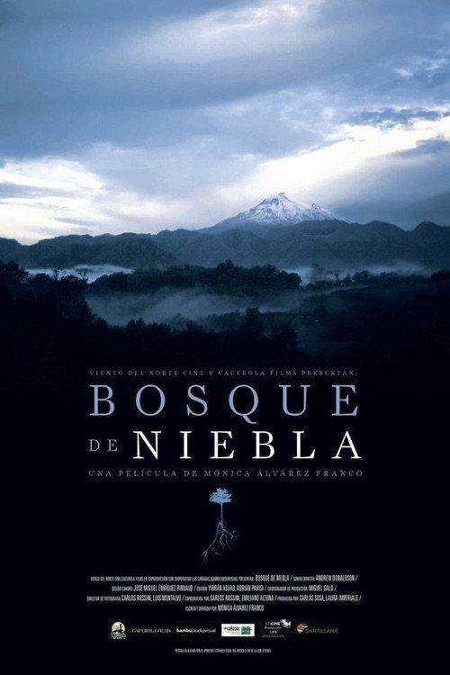 Bosque de niebla постер