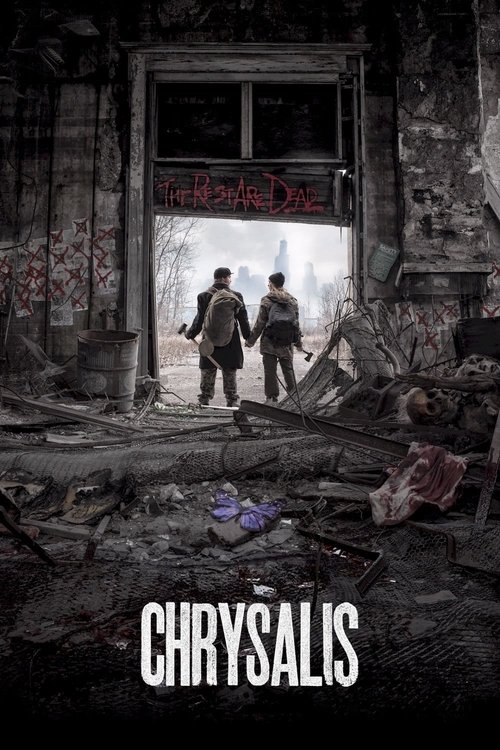Chrysalis постер