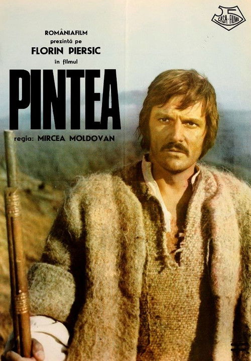 Pintea постер