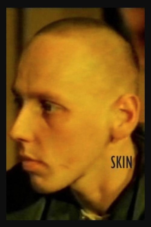 Skin постер