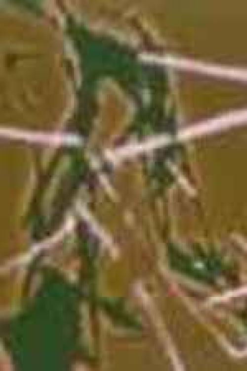 "..." Reel 2 постер