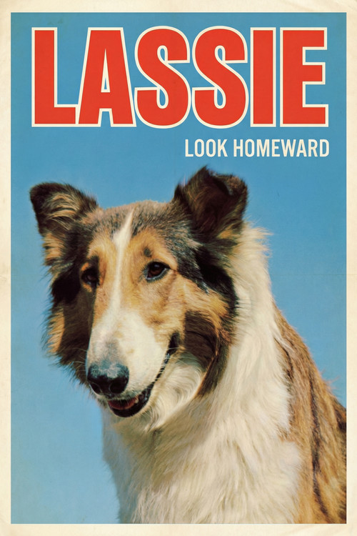 Look Homeward постер