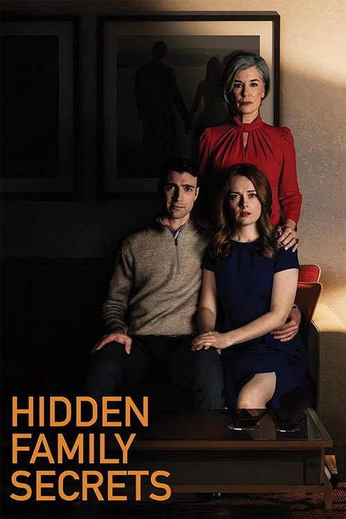 Hidden Family Secrets постер