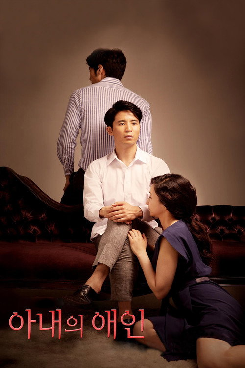 아내의 애인 постер