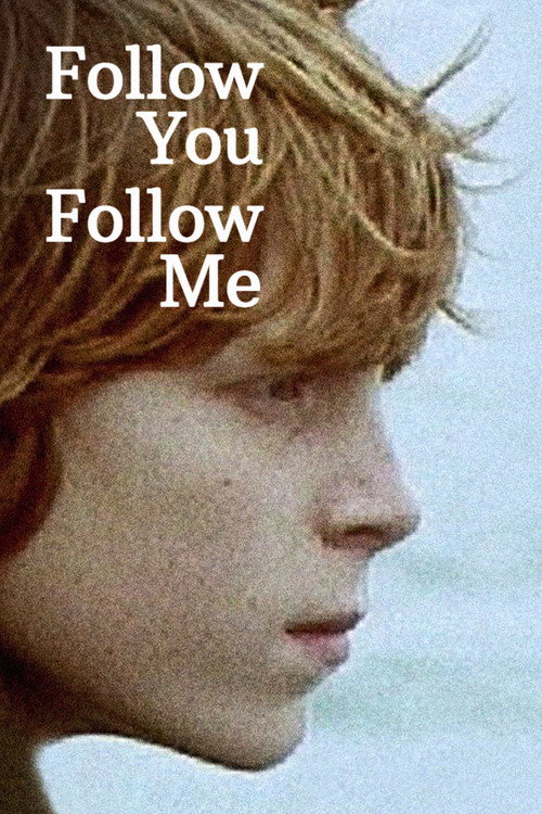 Follow You Follow Me постер