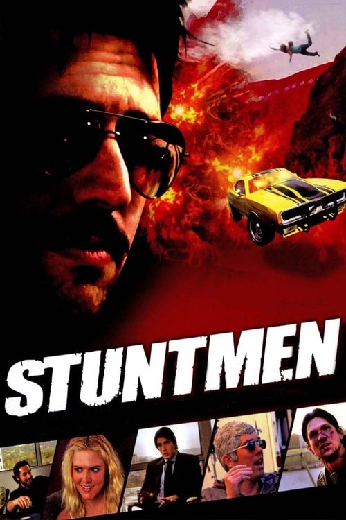 Stuntmen постер