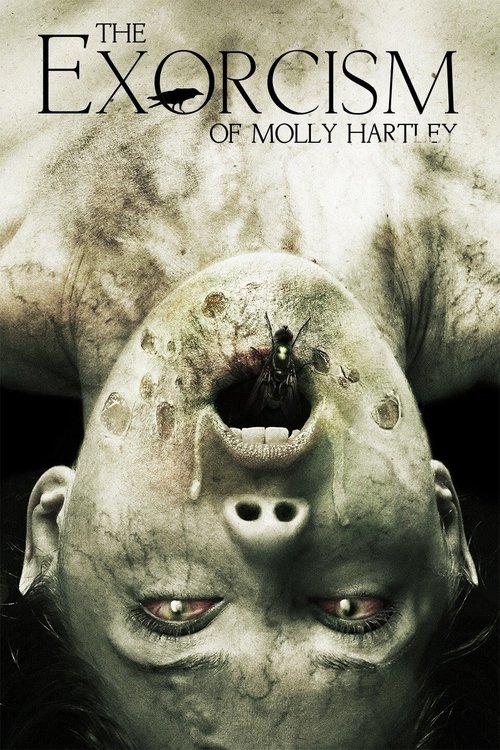 The Exorcism of Molly Hartley постер