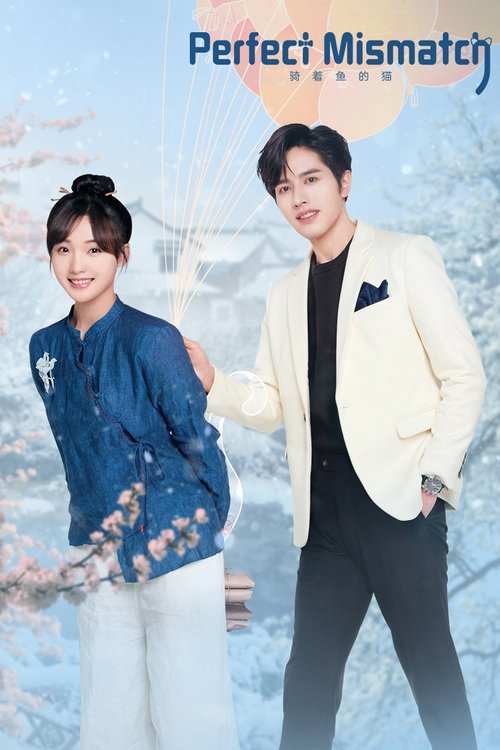 Perfect Mismatch постер