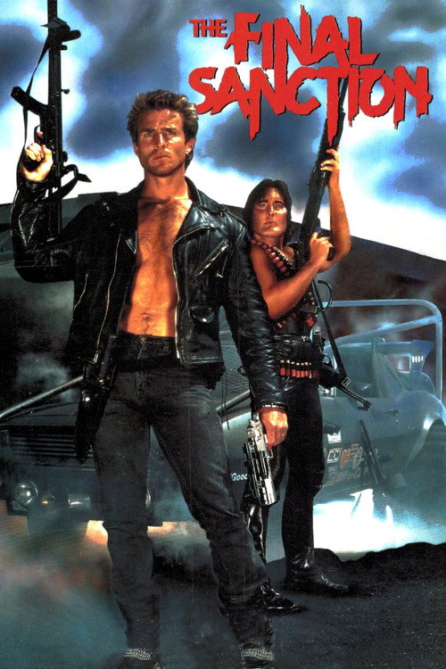 The Final Sanction постер