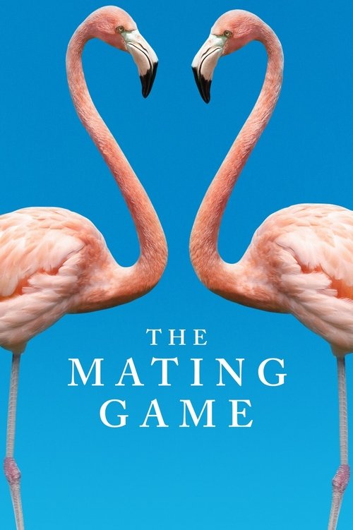The Mating Game постер