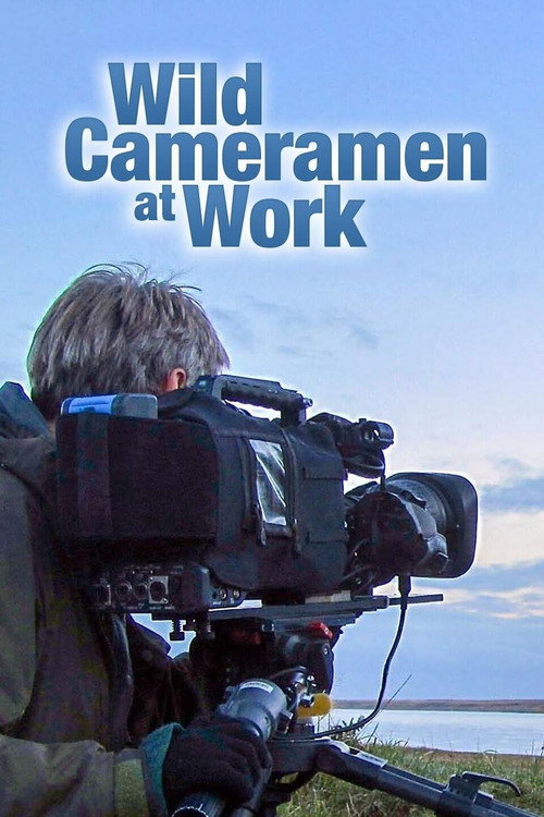 Wild Cameramen at Work постер