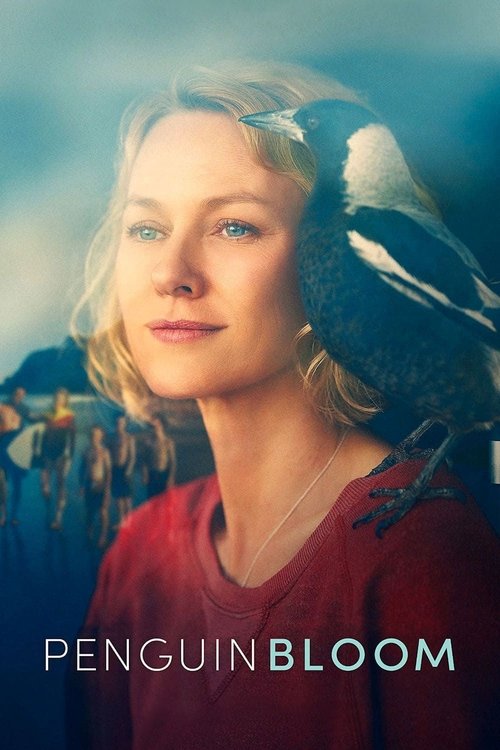 Penguin Bloom постер