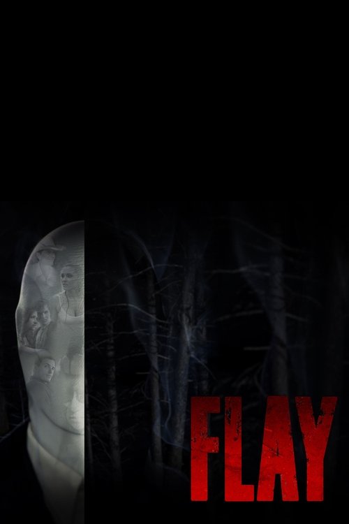 Flay постер