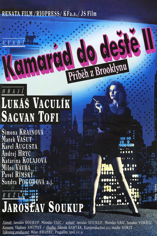 Kamarád do deště II. – Příběh z Brooklynu постер
