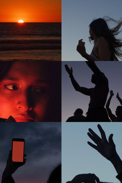 Wilderness постер