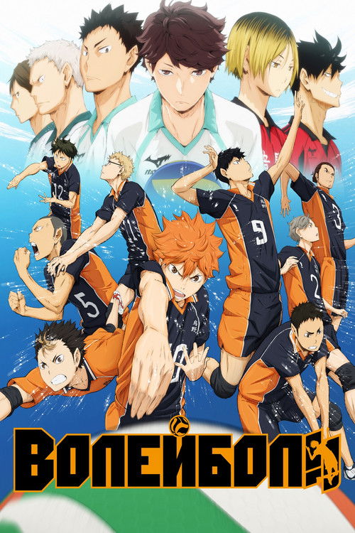 Волейбол!! постер