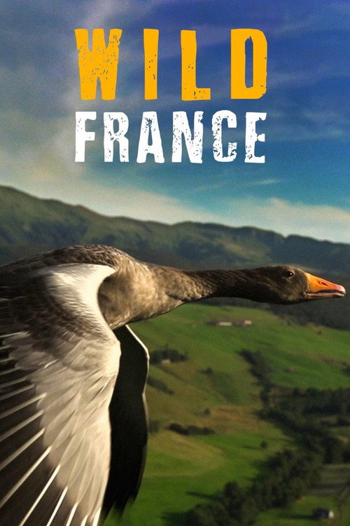 Wild France постер
