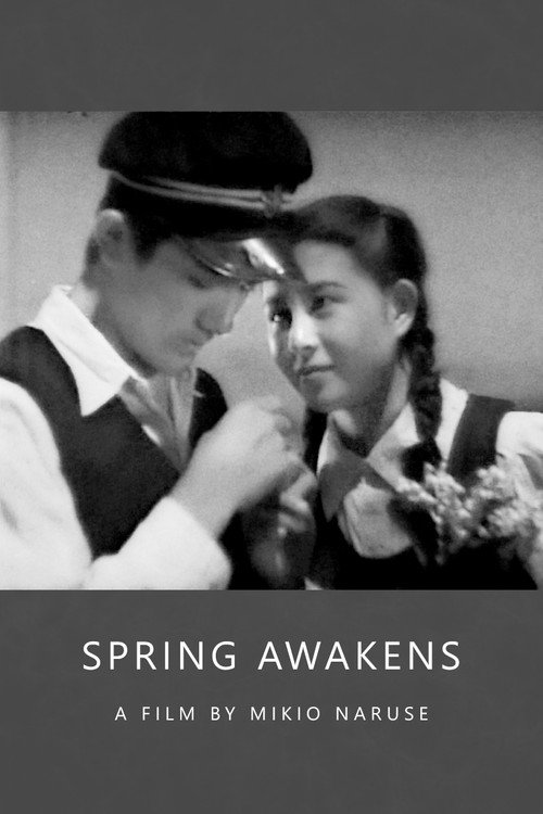 Spring Awakens постер